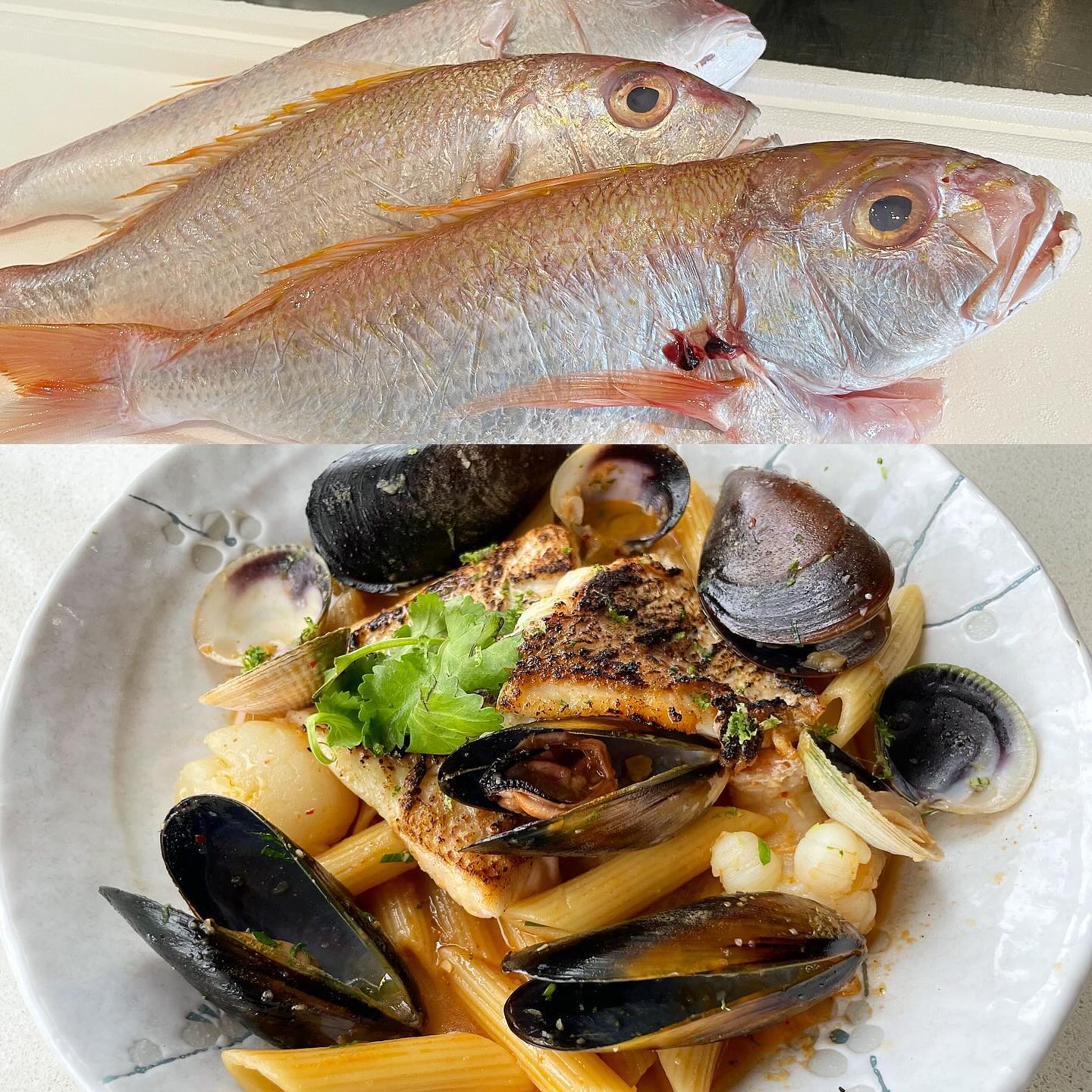 Chef’s next fish specials is Goldband snapper yuzu acqua pazza with penne .