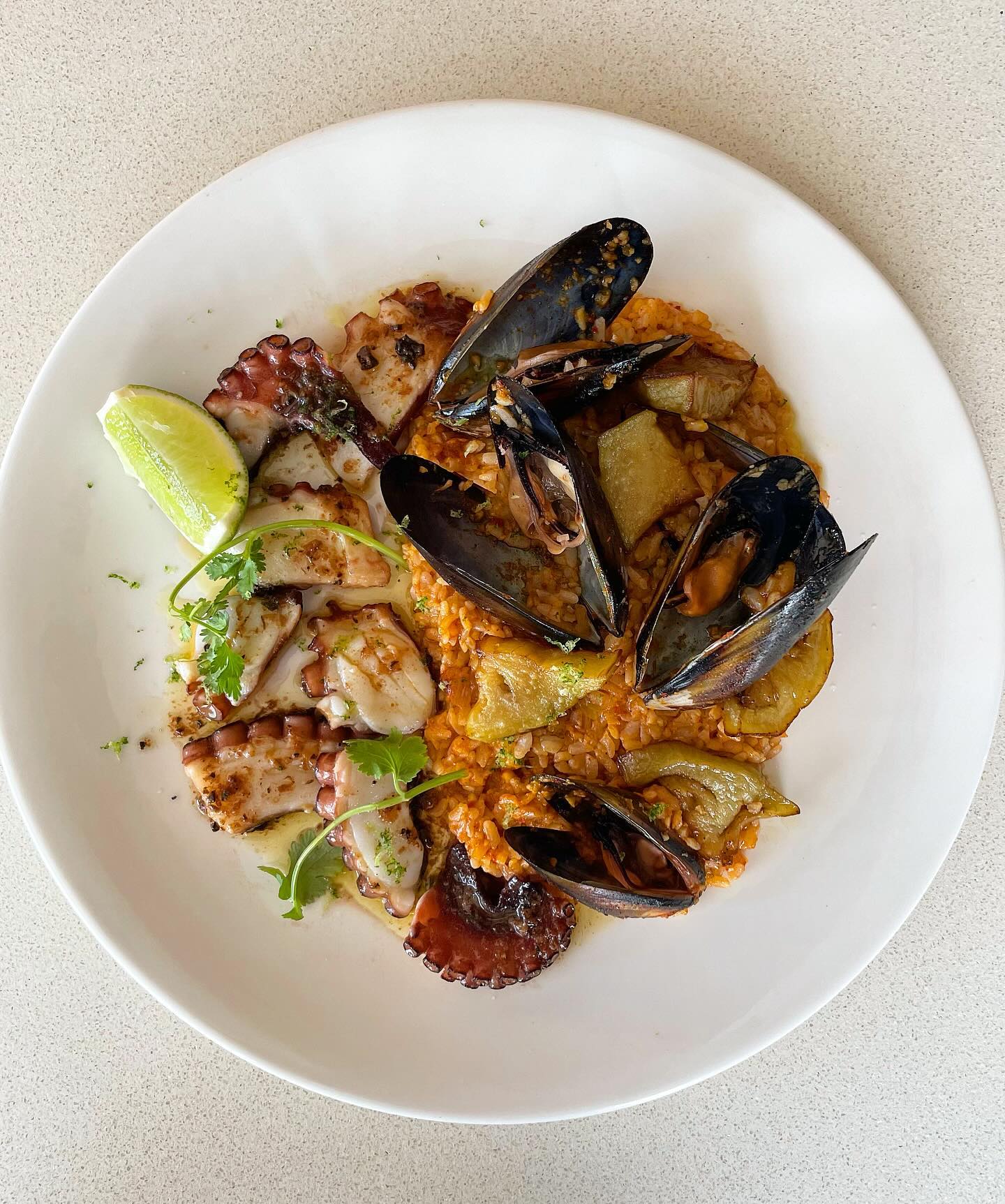 Chef’s next fish specials is WA octopus with mussel and eggplant risotto.